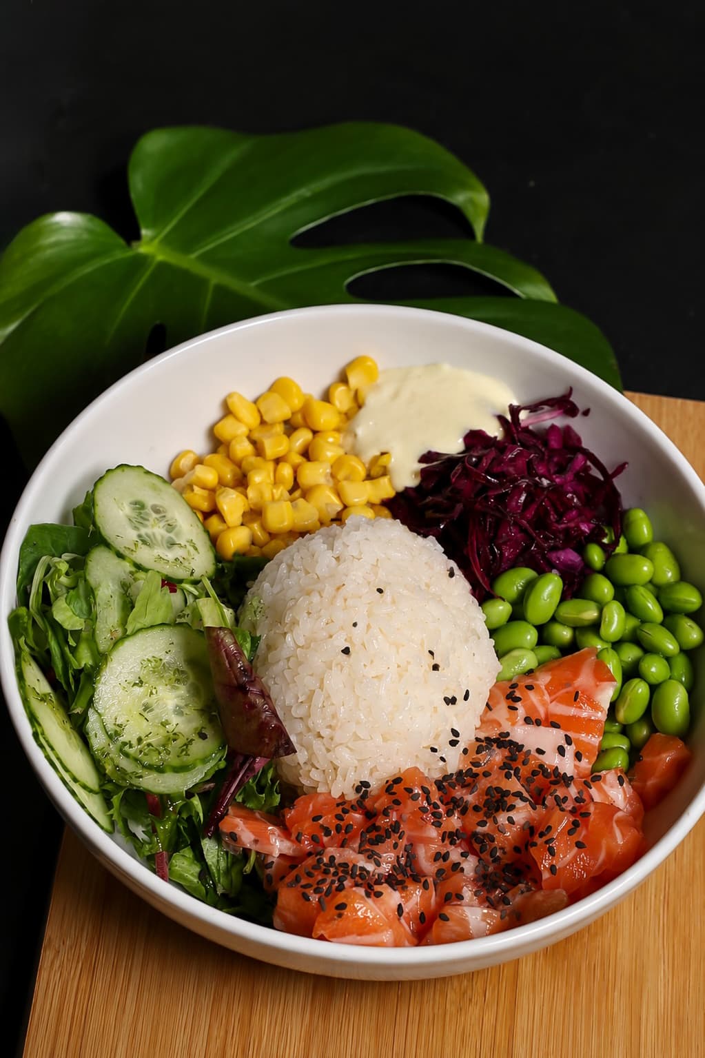 Salmon